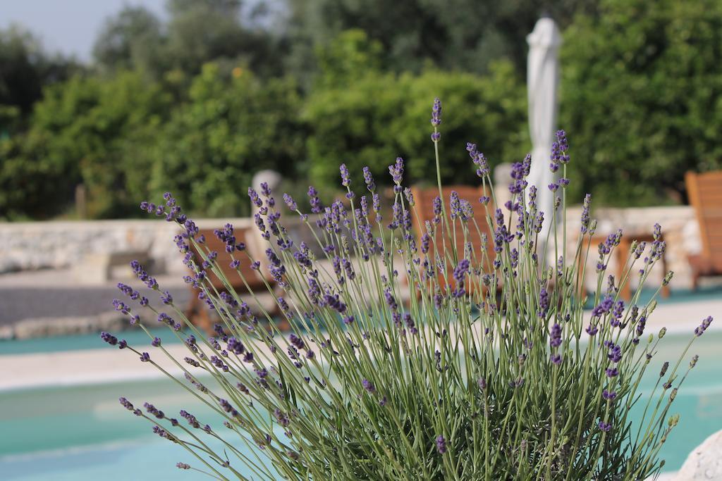 Agriturismo Masseria Saittole Карпиньяно-Салентино Экстерьер фото